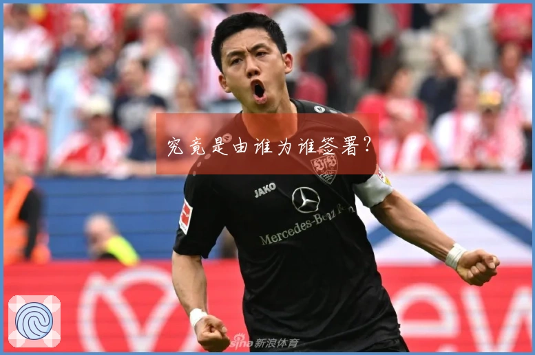 究竟是由谁为谁签署？