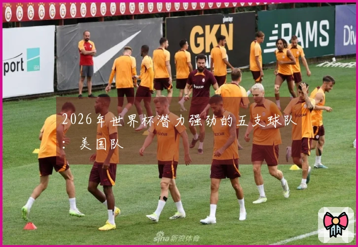 2026年世界杯潜力强劲的五支球队：美国队
